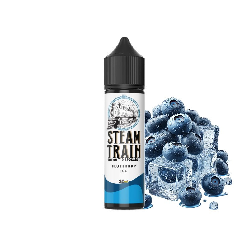 disposable-edition-blueberry-ice-60ml